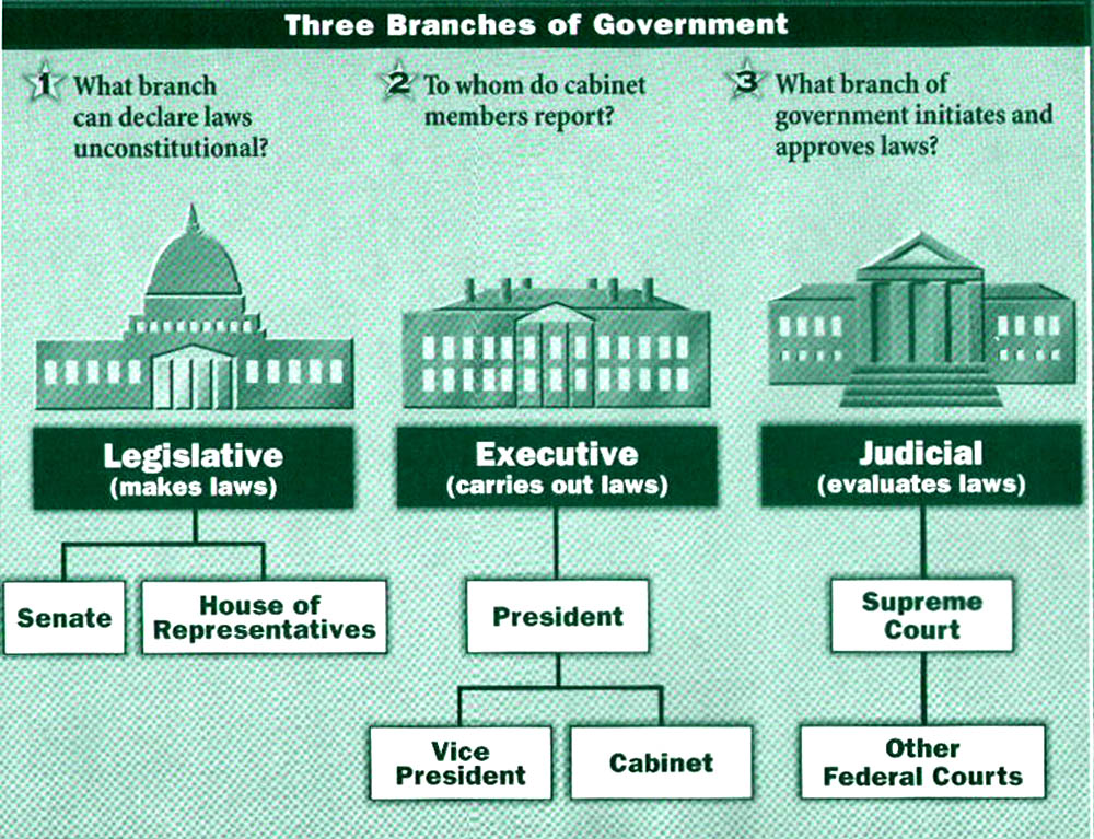 branches-of-u-s